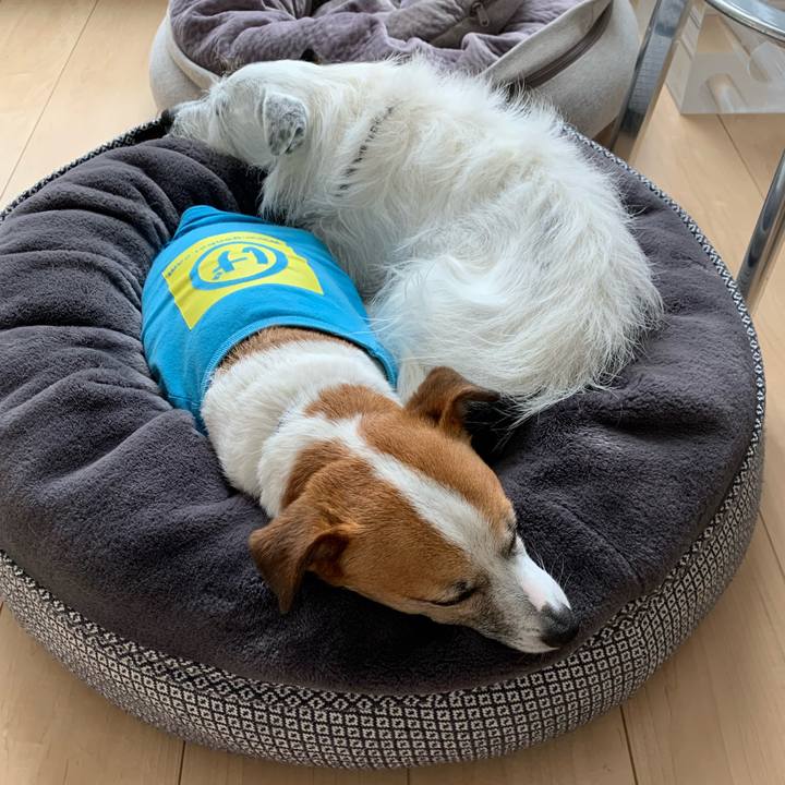 Ed68666b c435 4812 a674 9962b3c3a550 1619670238274