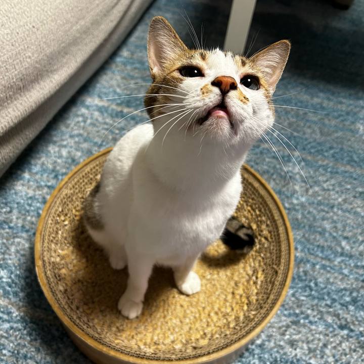 Ed68994d ea4c 4833 8aee feaa5049b942 1758252201574