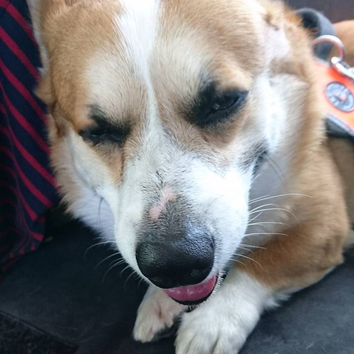 Ed68ab5f 534a 48a9 abf1 94e8be3c4abe 1680586627702