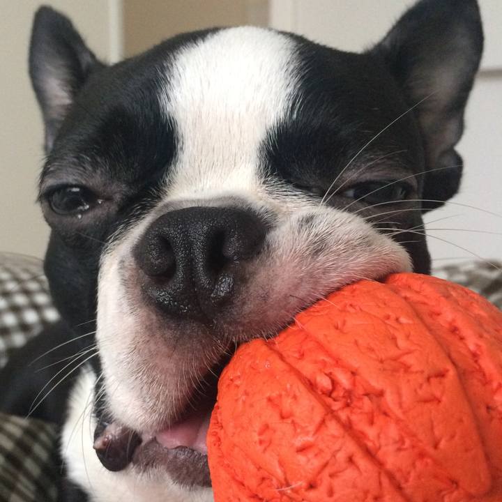 Ed68acb7 5979 402f aaa9 a9983aa93f6c 1509253029933