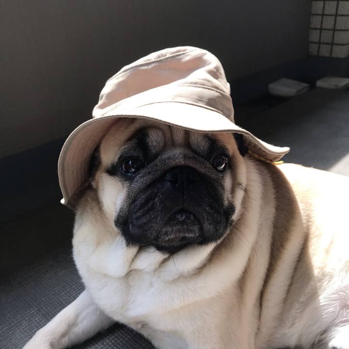 Ed68b2fc d451 4697 89c6 11df3023ca61 1597301463149