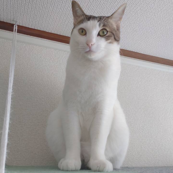 Ed68c324 4df2 4f36 b7f1 47489d5142d4 1672635177568