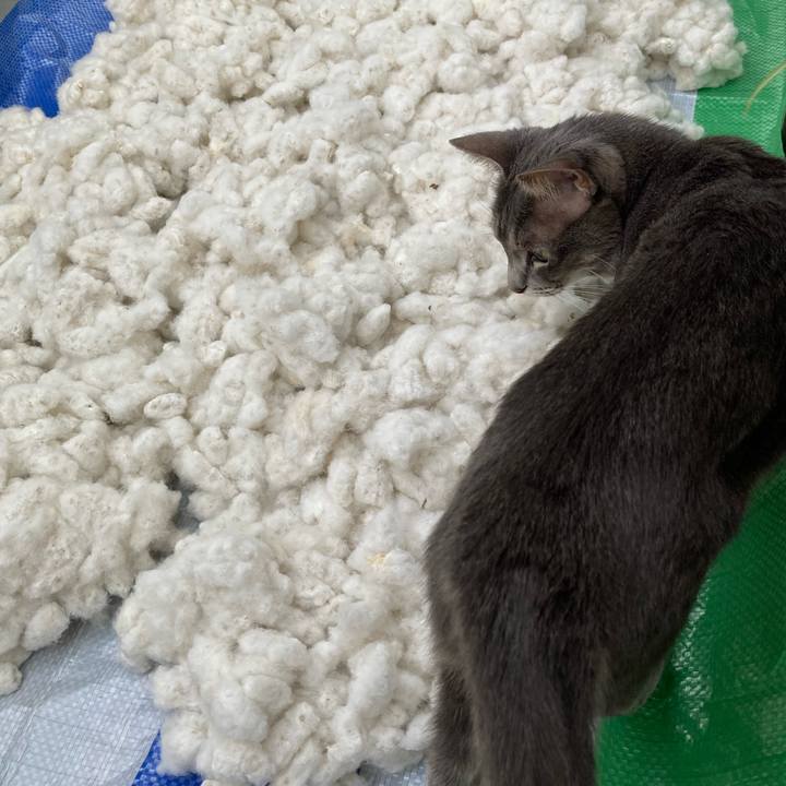 Ed692a5c 8ac0 4c33 9c36 ca737f655009 1698452580936