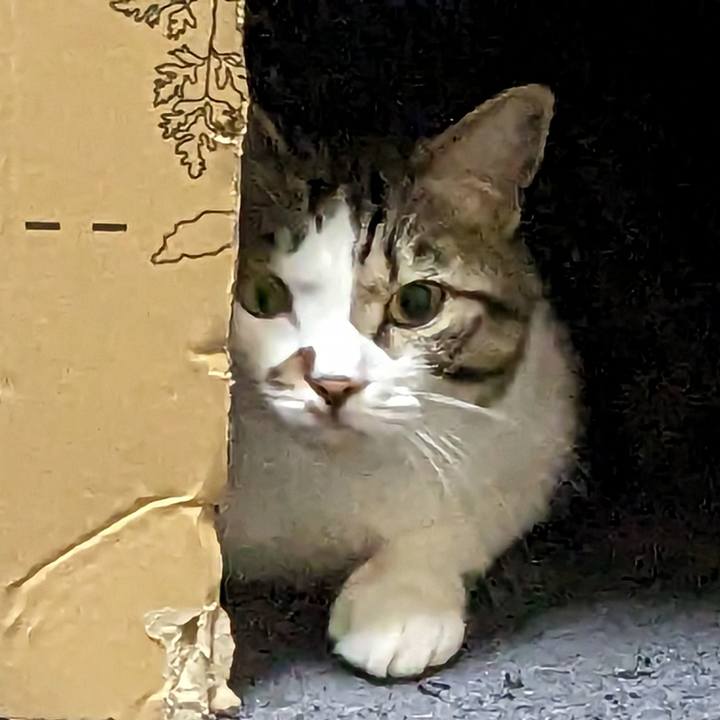 Ed696035 1b1d 46b1 bb11 cdc4321e1570 1682200885216