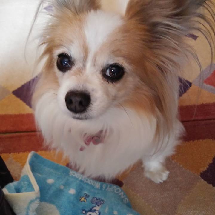 Ed696175 afed 4e29 a869 4b22af7fc049 1547963257547