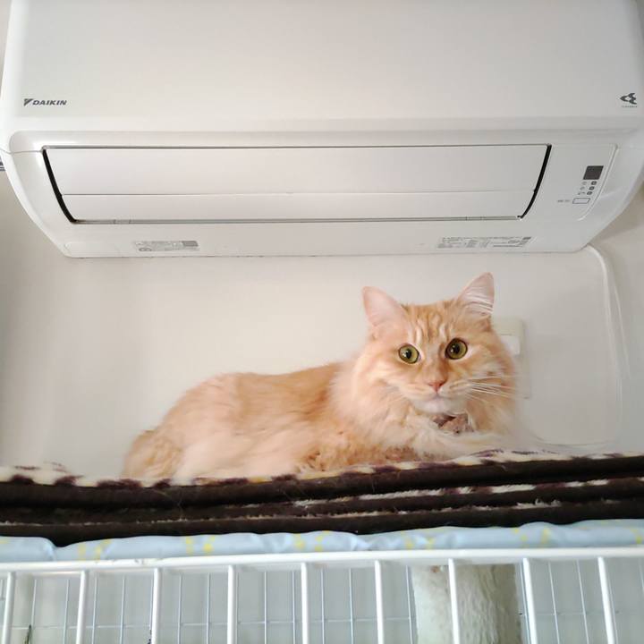 Ed69afba e1a4 4ace a283 7a9cdb270025 1684276710766