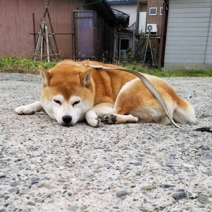 Ed69b6a0 3389 4e6d 993c 847cd05d8064 1574401102103