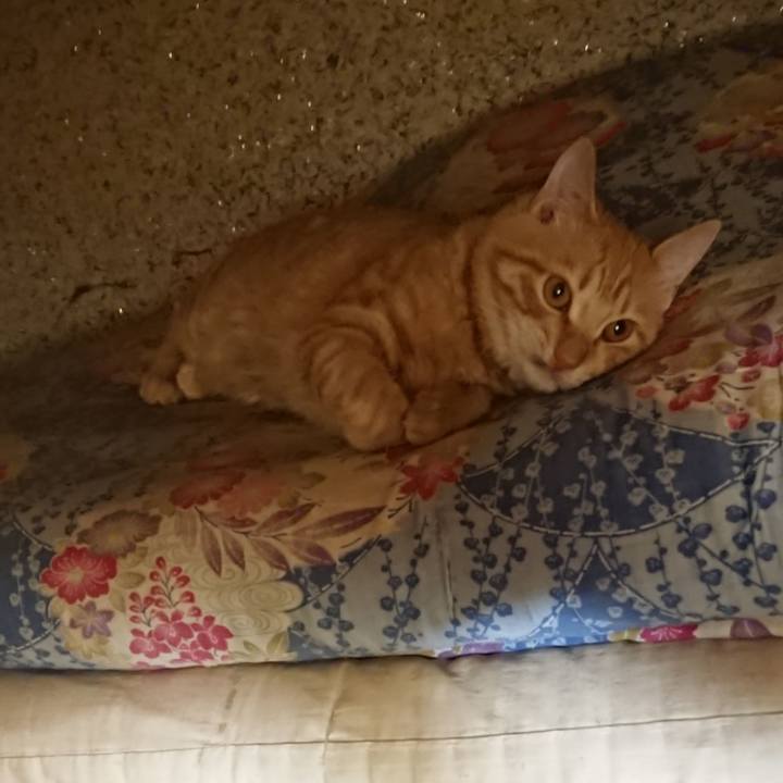 Ed69e13c 3688 4f0e 853d 92d2d55a6e71 1637065108502