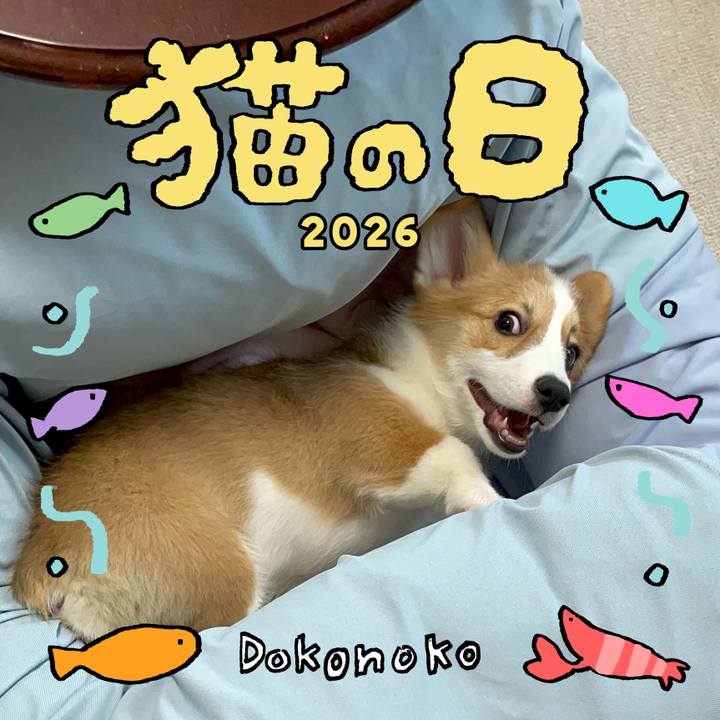 Ed69e328 7638 42d2 b13c 20b3ababbdf1 1771775887722