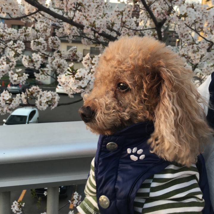 Ed69ebe7 f223 4a42 9267 d645ecf5d3be 1576030198771