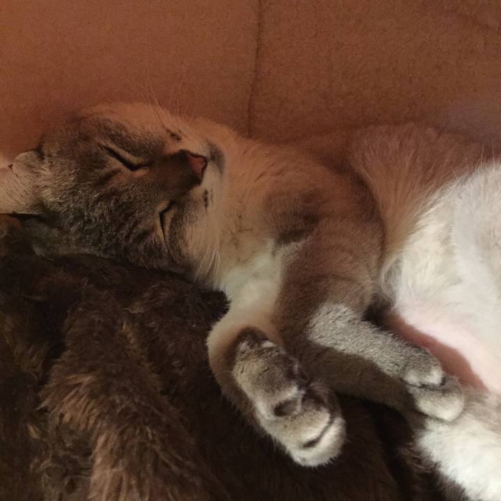 Ed69ee64 5acb 4a20 8a9a c3c6b3ed97e0 1519466129372