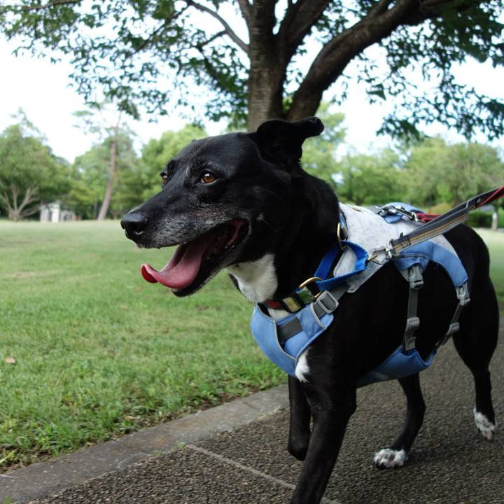 Ed69fe33 b0fd 4a13 ae89 89374948f1dc 1722558905647