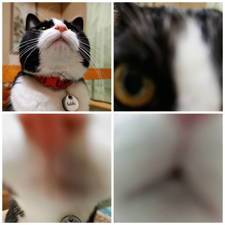 Ed69fe57 ca65 4d45 b568 1b852c0aebc4 1643256118538