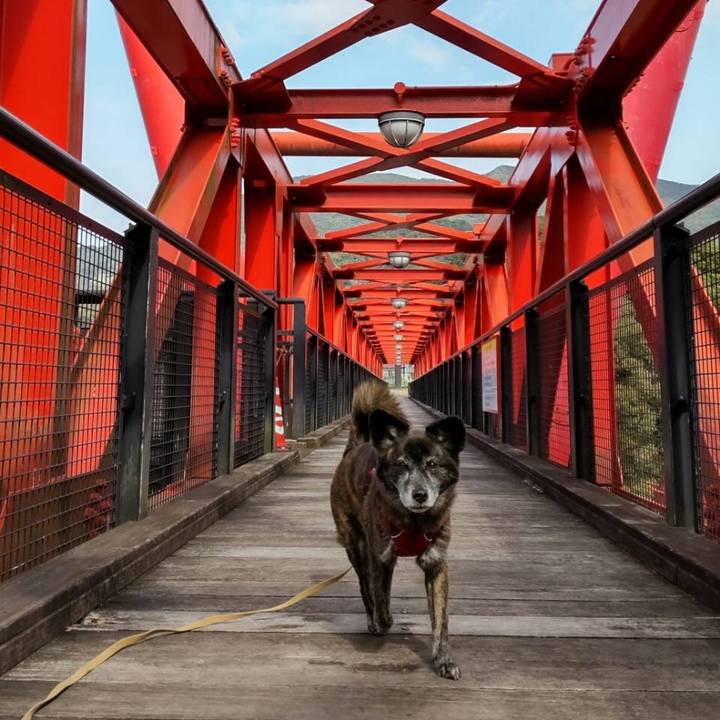 Ed6a1e29 6f77 48e0 acd8 31b50ebc3b95 1644937328666