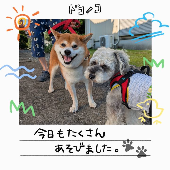 Ed6a3a9c 2ac5 46e6 ad5e bef288cd26ed 1755154870825