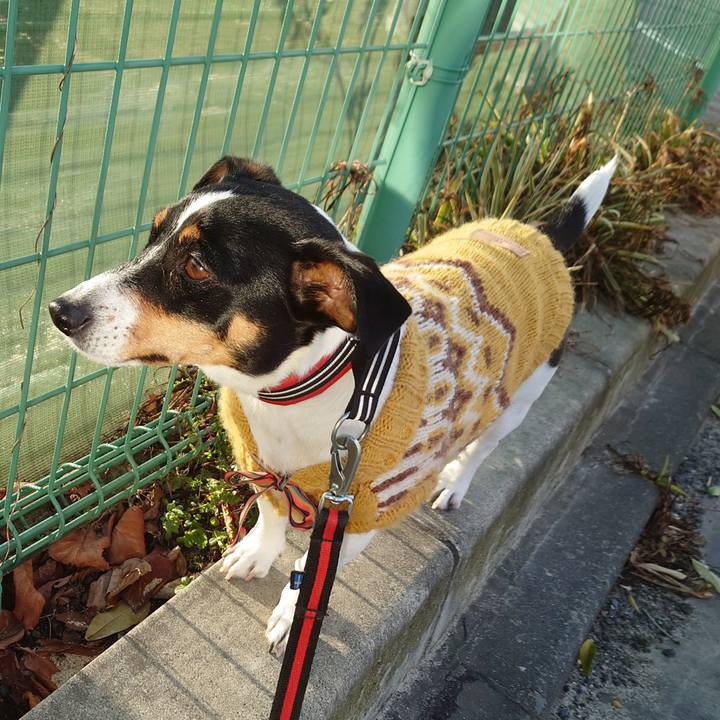 Ed6a6713 ba2b 48b7 a1f1 98c0fc371525 1676111653567