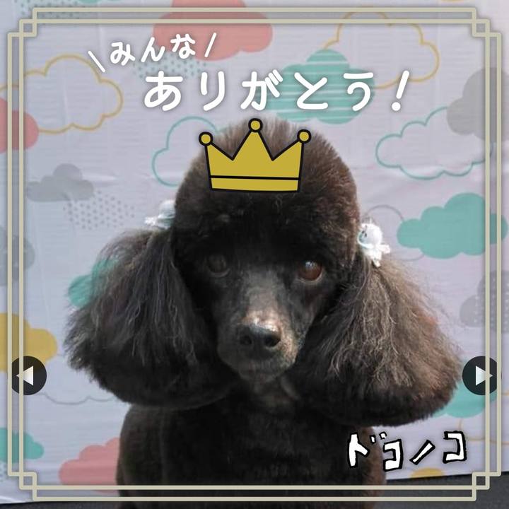 Ed6a73cb 4b58 4d9a 8d00 882a8745467b 1622864067258