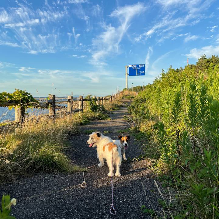 Ed6a796b 5670 4f82 8a0d b2aa6842c88e 1659692336013