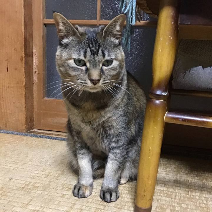 Ed6a7b24 b6f3 4cdf b70c dbe917e559b6 1682600502360