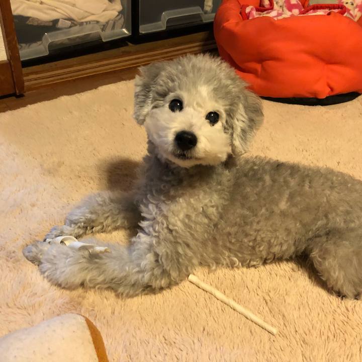 Ed6aac7a effa 465b a45d aec3d6a32cce 1544608600425