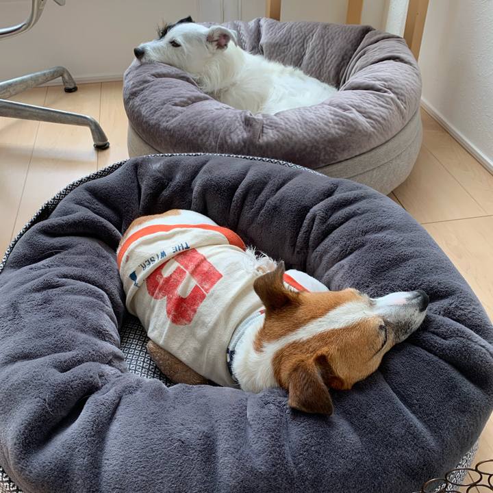 Ed6ae0ac 686f 474b 8321 de516b3eb94b 1595555523742