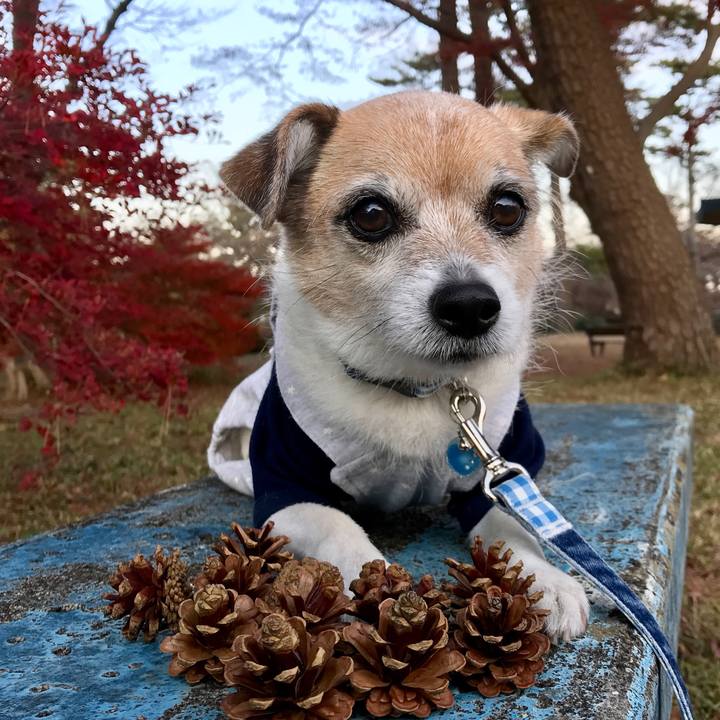 Ed6b1760 e466 4838 a6bc 13515fb42efb 1638691862491