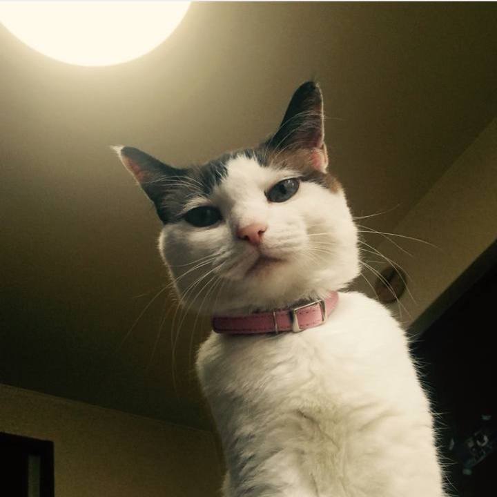 Ed6b3217 80a4 4ef0 85ad 005318019af9 1754040194605