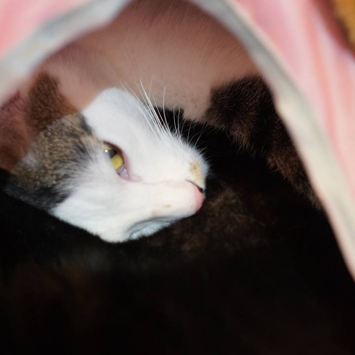 Ed6b866b e9ad 476e 876b afc22dfe7628 1577702240131