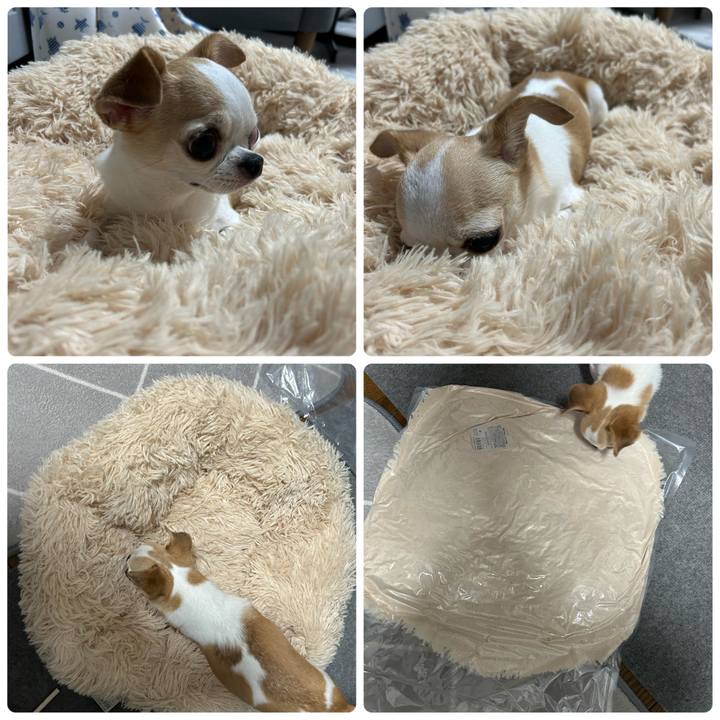 Ed6bbab6 305b 43e0 9275 ee19b708242a 1759226358457