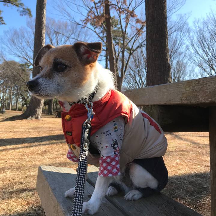 Ed6bcf07 0cd9 4302 b6f5 443afd68ca0c 1578543407180