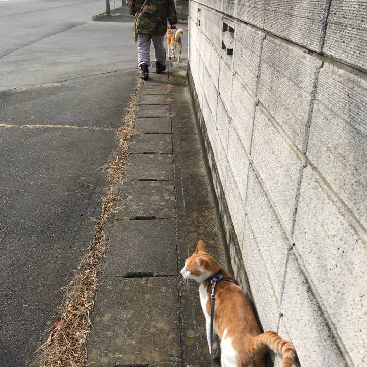 Ed6c0d3a 2226 48c2 8421 926134b7f8bf 1513656660433