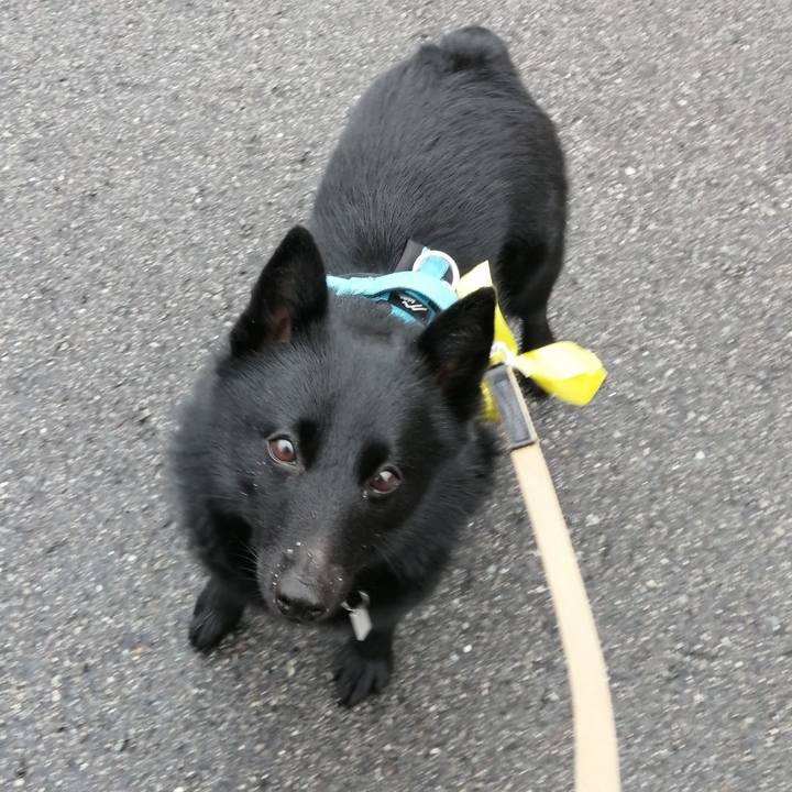 Ed6c1013 6f1b 473a a0e5 fd102c797a1f 1653945563642