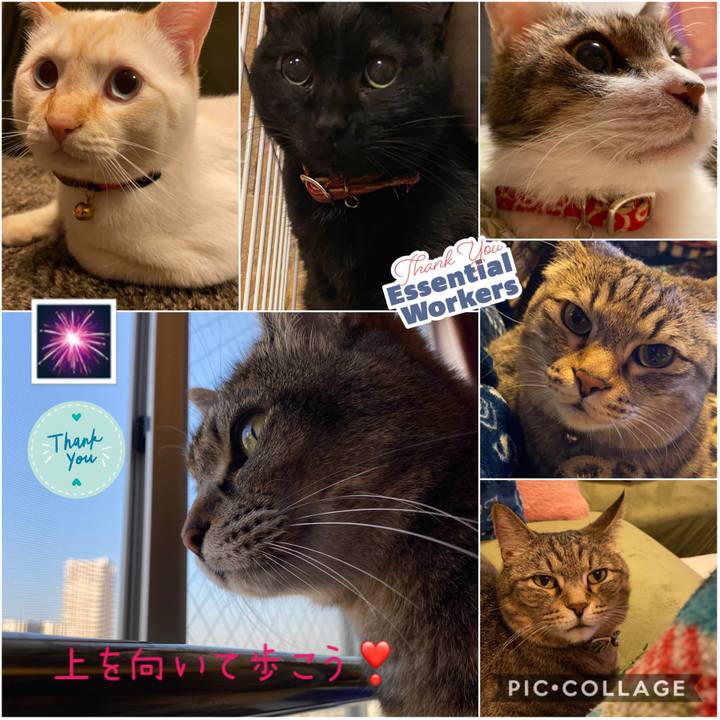 Ed6c2ddc 9b1c 4ae3 aeb3 324f540c2875 1591019515501