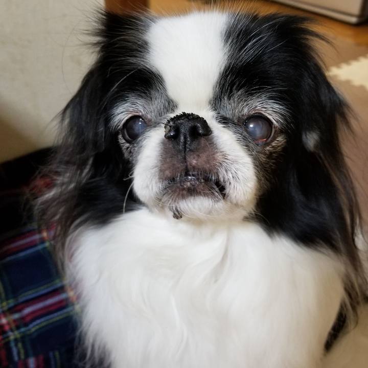 Ed6c3891 ae3d 402b 8d14 c6f12b5e0737 1545134545845