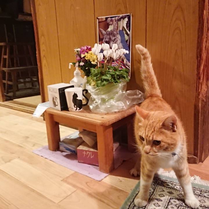 Ed6c415a 1f82 4c04 97cf c1344f35be62 1604567083482