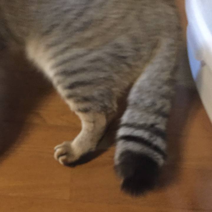 Ed6c943d 395f 45e2 8c50 8739de53cf13 1550657721182