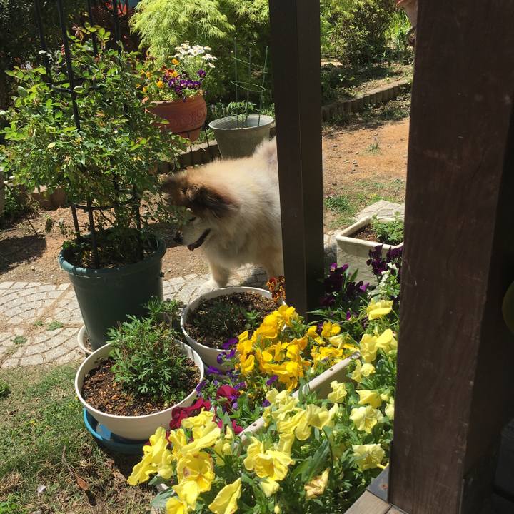 Ed6cb11c f440 47c7 b5c9 b92d431dc201 1564249528146