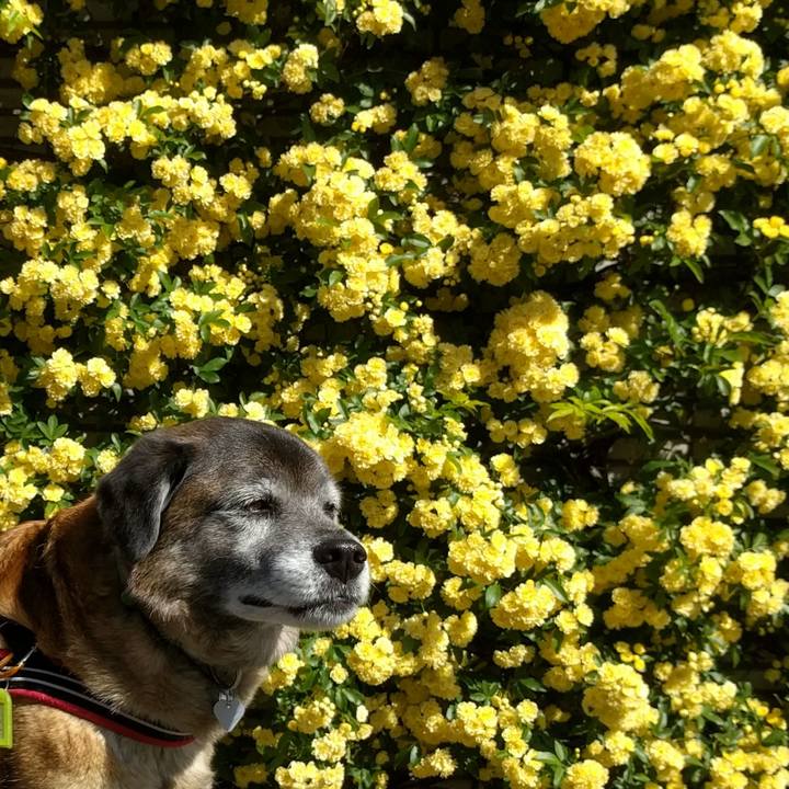 Ed6cb12b fea1 4d9d 8eb1 2712803ac9dc 1618016761386