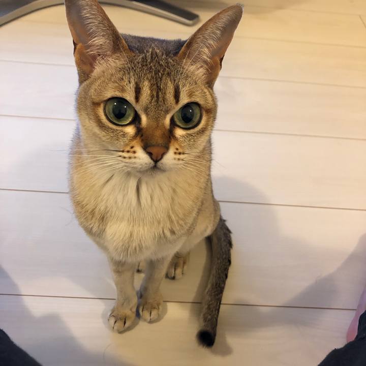 Ed6cba86 180a 4546 8ad7 7c93e0282504 1556894519884