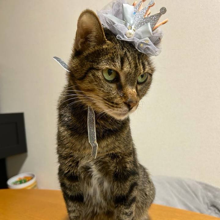 Ed6cd682 9aee 47af 8c70 9e80c82f69f4 1760083358212