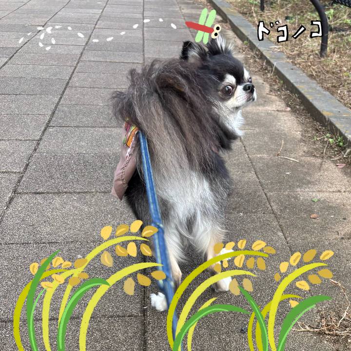 Ed6d56de 7fb3 4914 a147 7523afba02f6 1761280400904