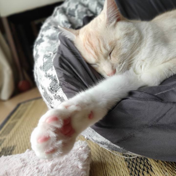 Ed6d9907 d537 41bb b380 3b2ba36c0833 1654665294064