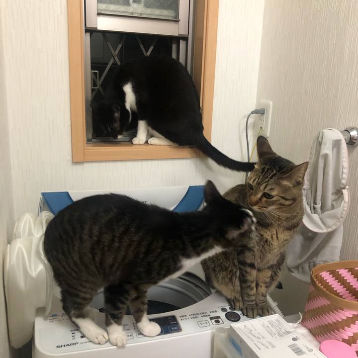 Ed6dc6c4 4c5a 47bf 8bdb 3671c6807132 1589167506947