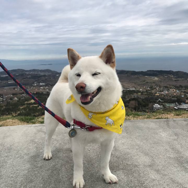 Ed6dcd40 76f2 4cee a0a8 98849ee864aa 1521772385259