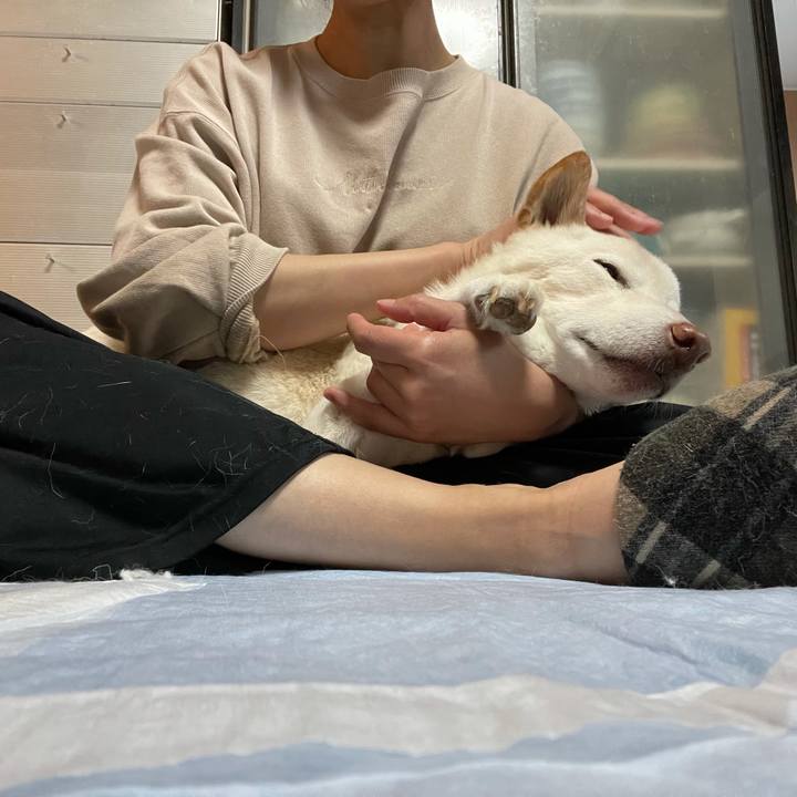 Ed6def65 1087 4814 a697 a0839738acb5 1638543404300