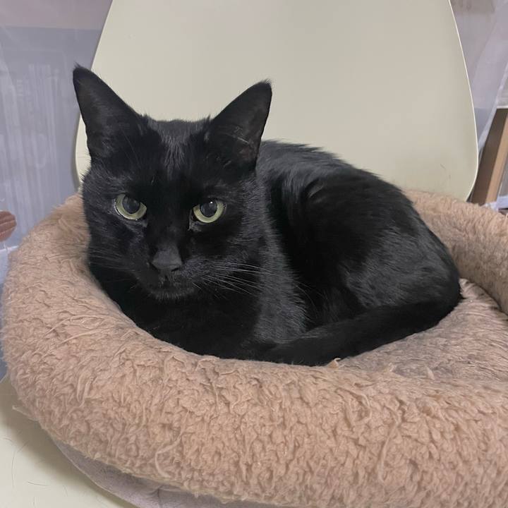 Ed6def68 0b77 4e56 a79f c193ef2d6f73 1673354710279