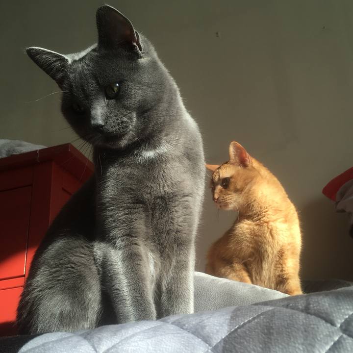 Ed6e0873 2516 4e2b abc7 eb371e9074cd 1632963336897