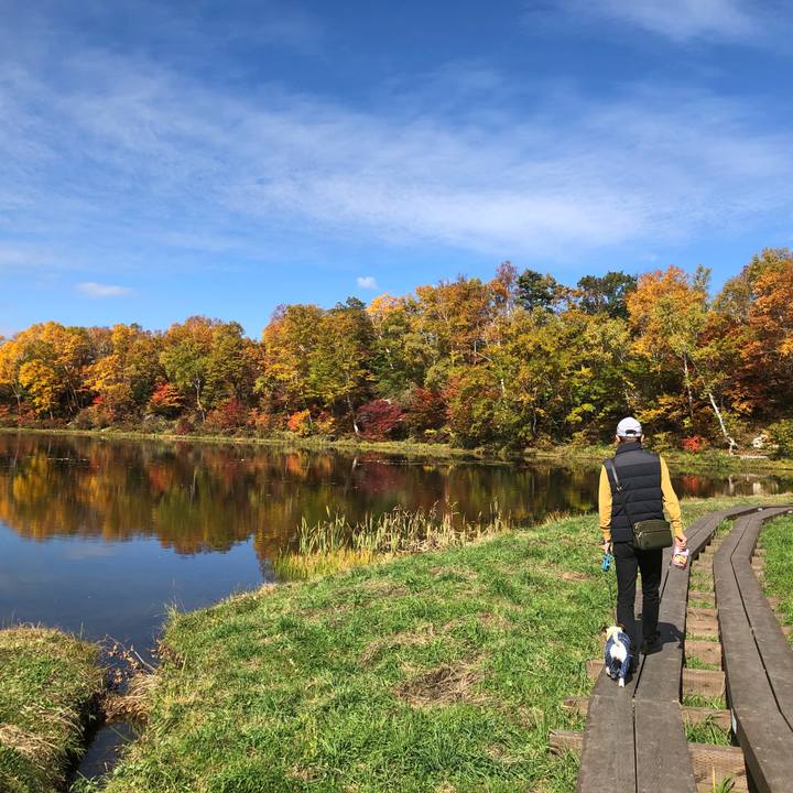 Ed6e0a1a 4463 4ab5 ab6c d92f95eb82b2 1602822198062