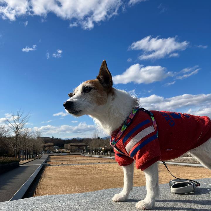 Ed6e0da9 54ae 4abd 9d53 02fe2e141cb0 1672704842043