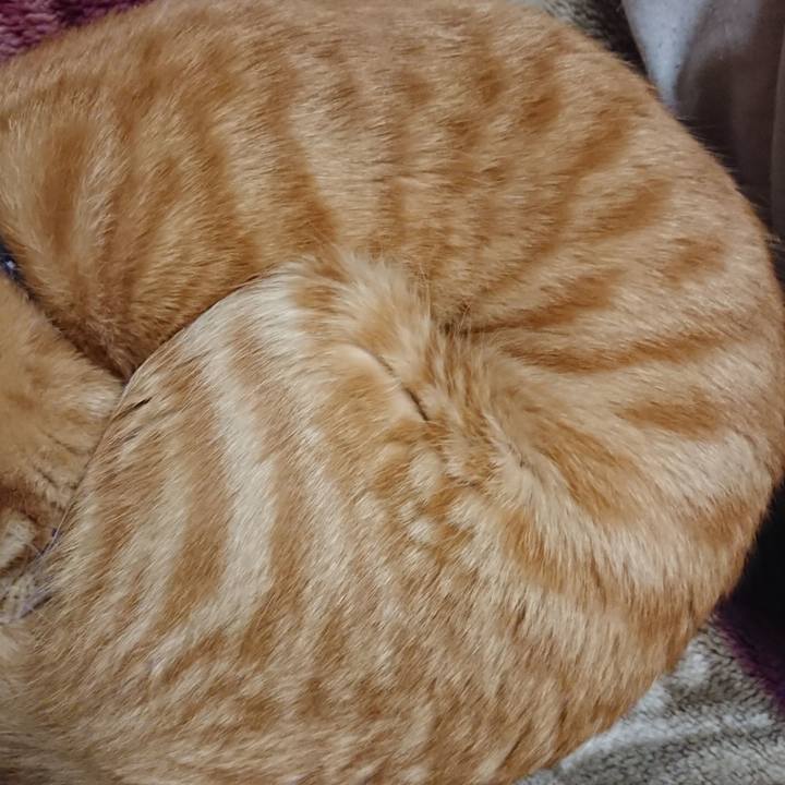 Ed6e1d99 e071 4ff7 b2cd 56278597c60b 1643288770381